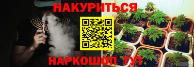 ешки Бийск