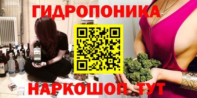 ешки Бийск