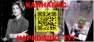 ешки Бийск