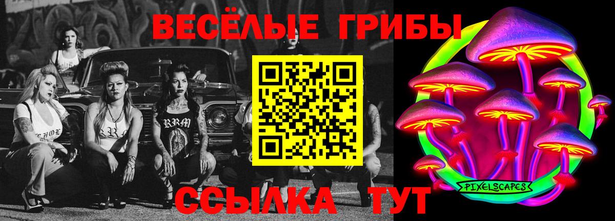 Псилоцибиновые грибы мухоморы Кинель