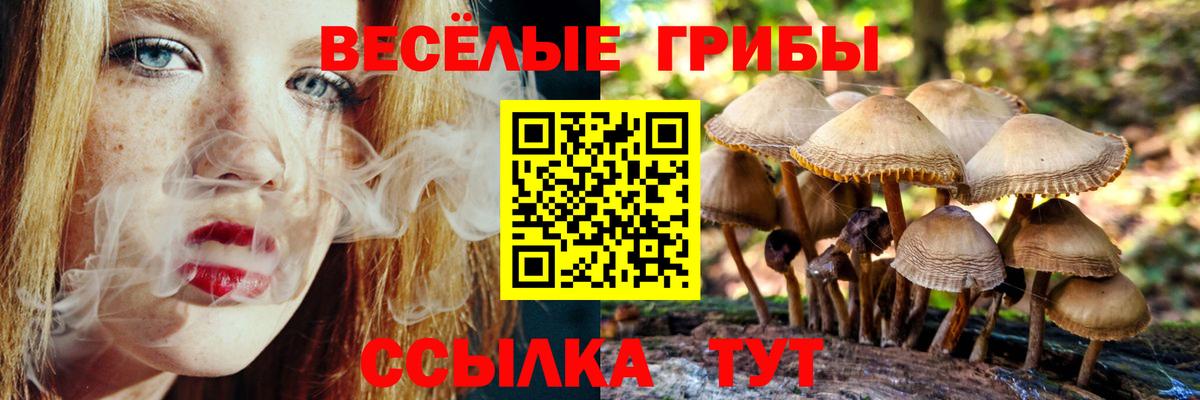 Галлюциногенные грибы GOLDEN TEACHER  Псилоцибиновые грибы MAGIC MUSHROOMS  Вход с VPN  Кинель 